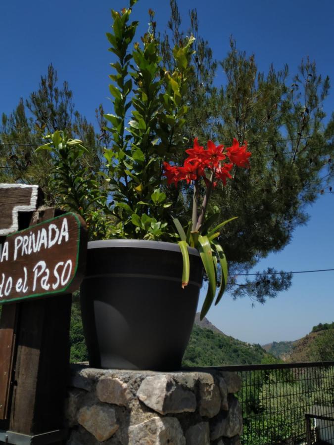Cortijo La Solana Guest House Гехар-Сиера Екстериор снимка