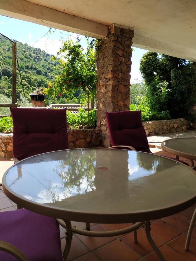 Cortijo La Solana Guest House Гехар-Сиера Екстериор снимка