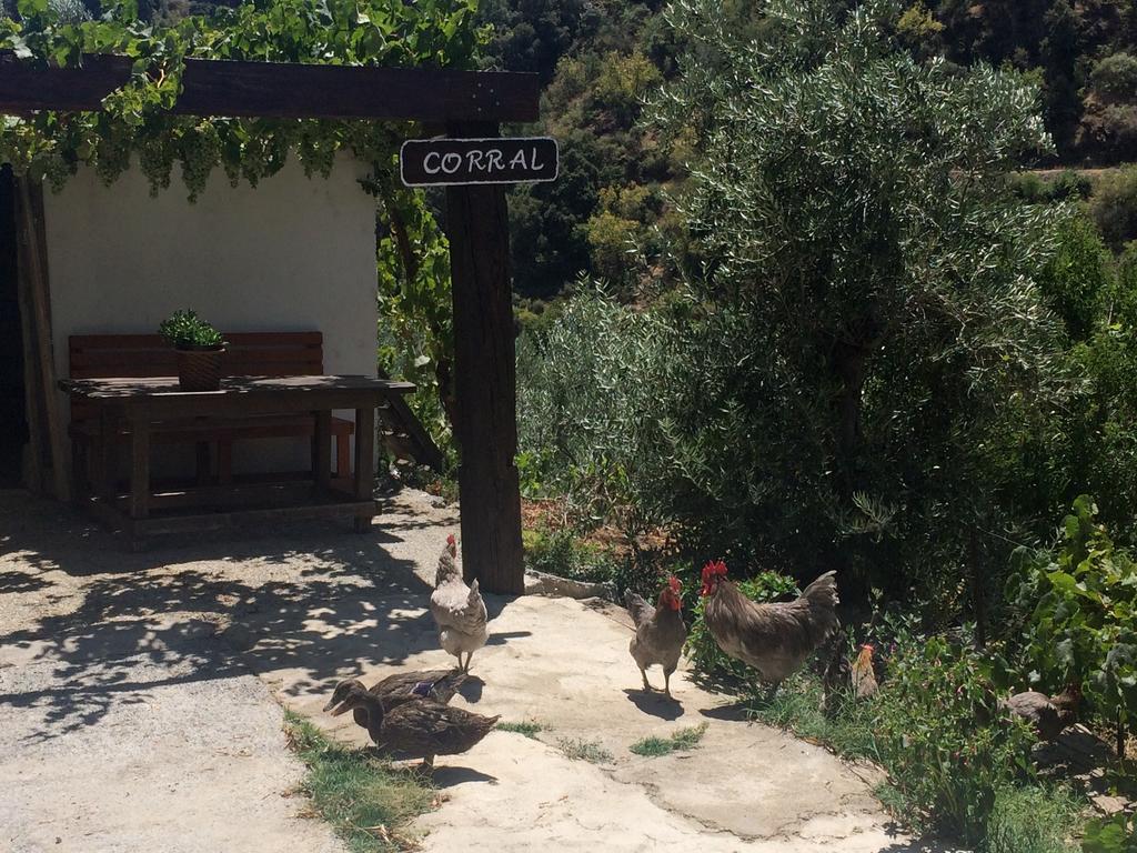 Cortijo La Solana Guest House Гехар-Сиера Екстериор снимка
