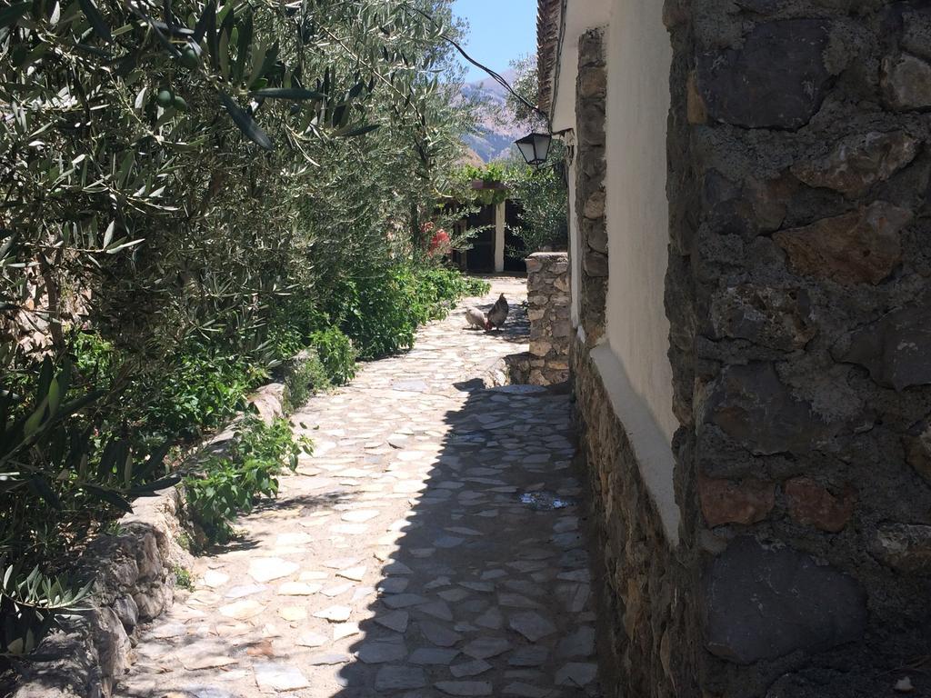 Cortijo La Solana Guest House Гехар-Сиера Екстериор снимка